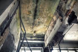 Mold Remediation for Rental Properties in Tuscaloosa, AL